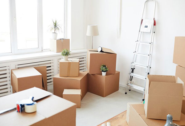 Household Shifting Basna